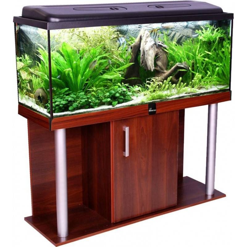 akvarium-set-comfort-240l-rovny-diversa