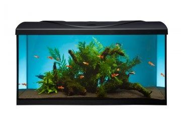 Akvárium set STARTUP 80 rovný 112l DIVERSA  