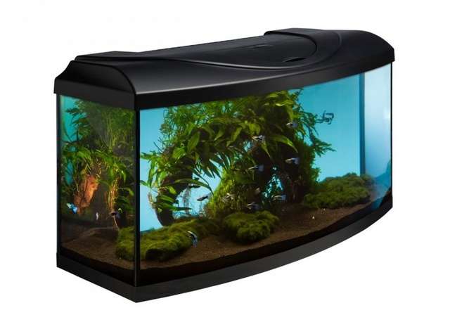 Akvárium set STARTUP 80 vypouklý 112l - černý