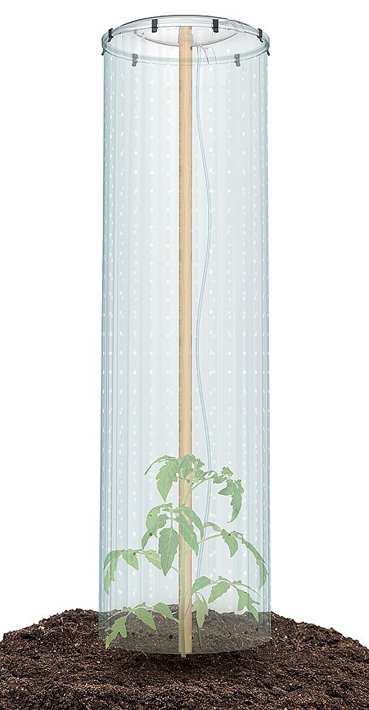 Pěstební set (foliovník) pro TOMATO GROWER CAP 38,5cm ukázka