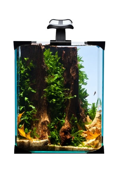 Akvárium set nanoLED 10 l DIVERSA