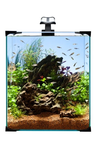 Akvárium set nanoLED 30 l DIVERSA