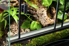 Diversa Terraset 45 Forest terárium 